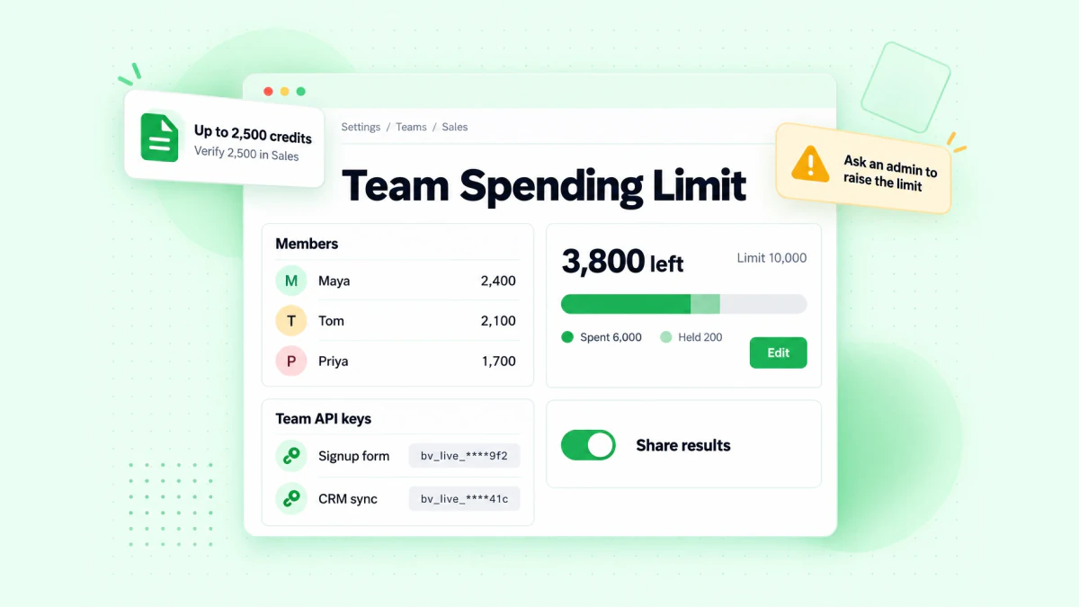 BillionVerify team settings: a team spending limit with credits spent and remaining, a Share results switch and team API keys