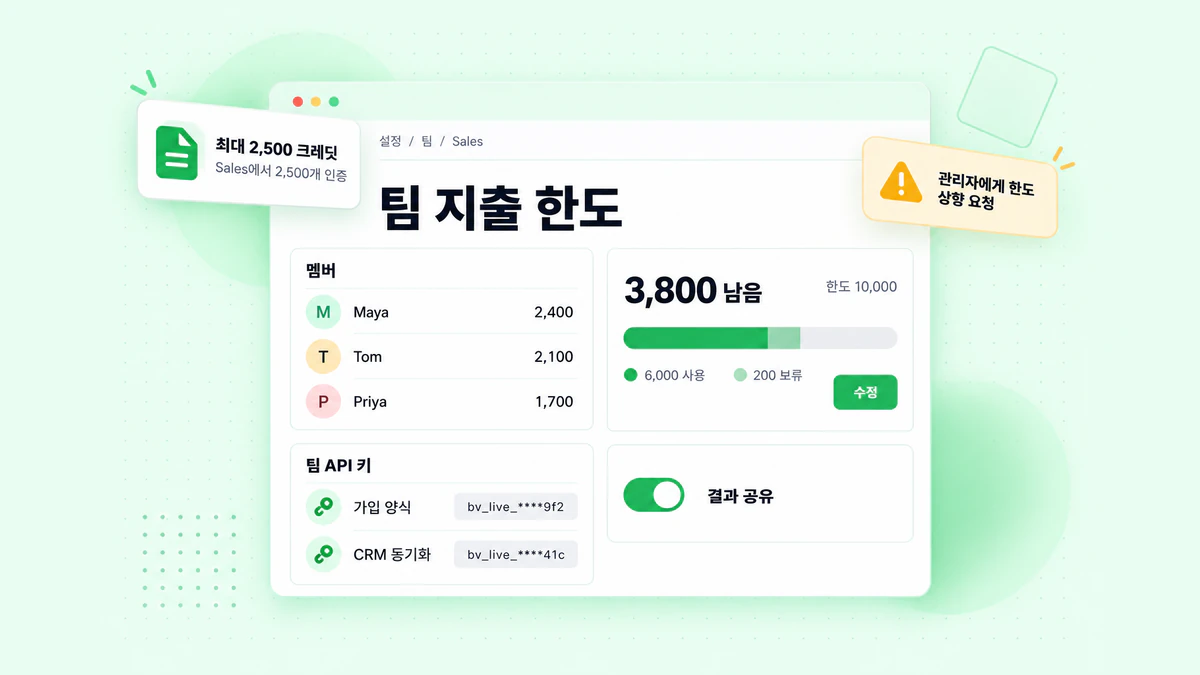 BillionVerify 팀 설정: 사용한 크레딧과 남은 크레딧이 표시된 팀 지출 한도, 결과 공유 스위치 및 팀 API 키