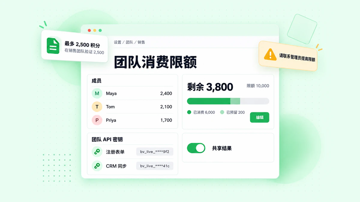 BillionVerify 团队设置：包含已消费和剩余积分的团队消费限额、“共享结果”开关以及团队 API 密钥