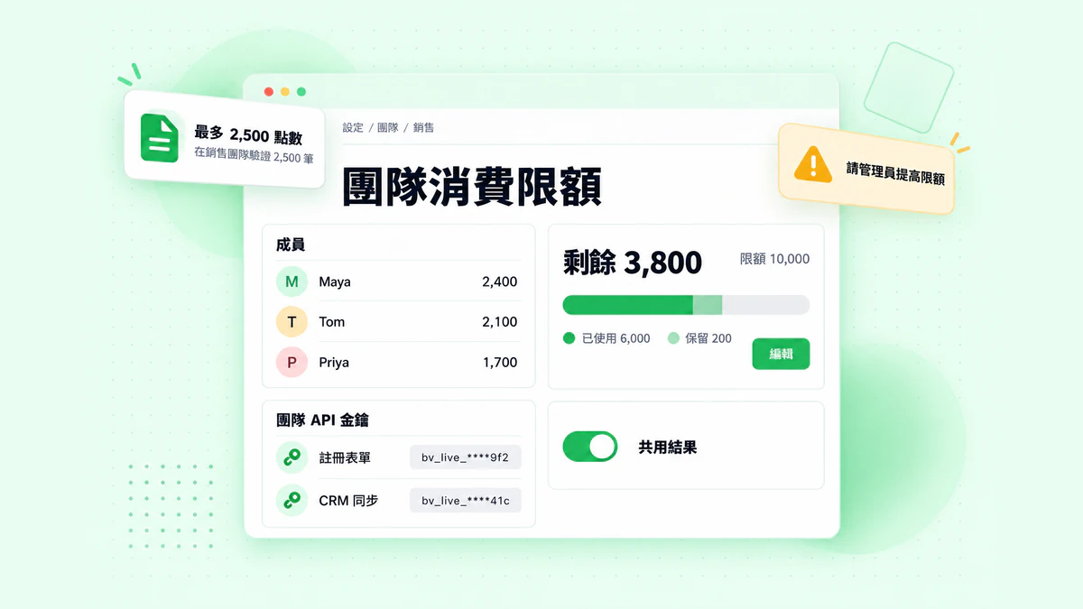 BillionVerify 團隊設定：包含已使用與剩餘額度的團隊消費限額、「共用結果」切換開關，以及團隊 API 金鑰