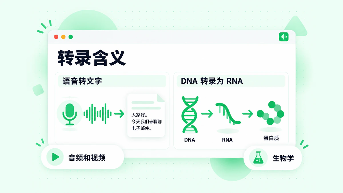 Transcription 含义:一个面板展示语音转化为书面文字,另一个面板展示 DNA 被复制为 RNA