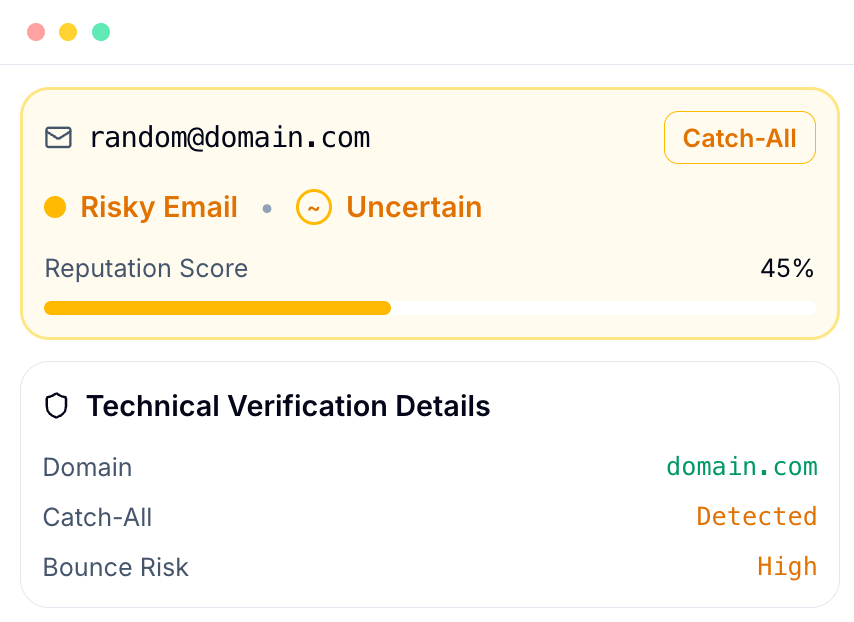 BillionVerify catch-all email address verifier result screen