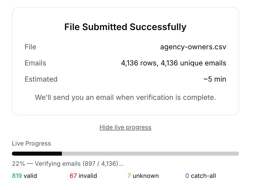 BillionVerify bulk file verification confirmation screen