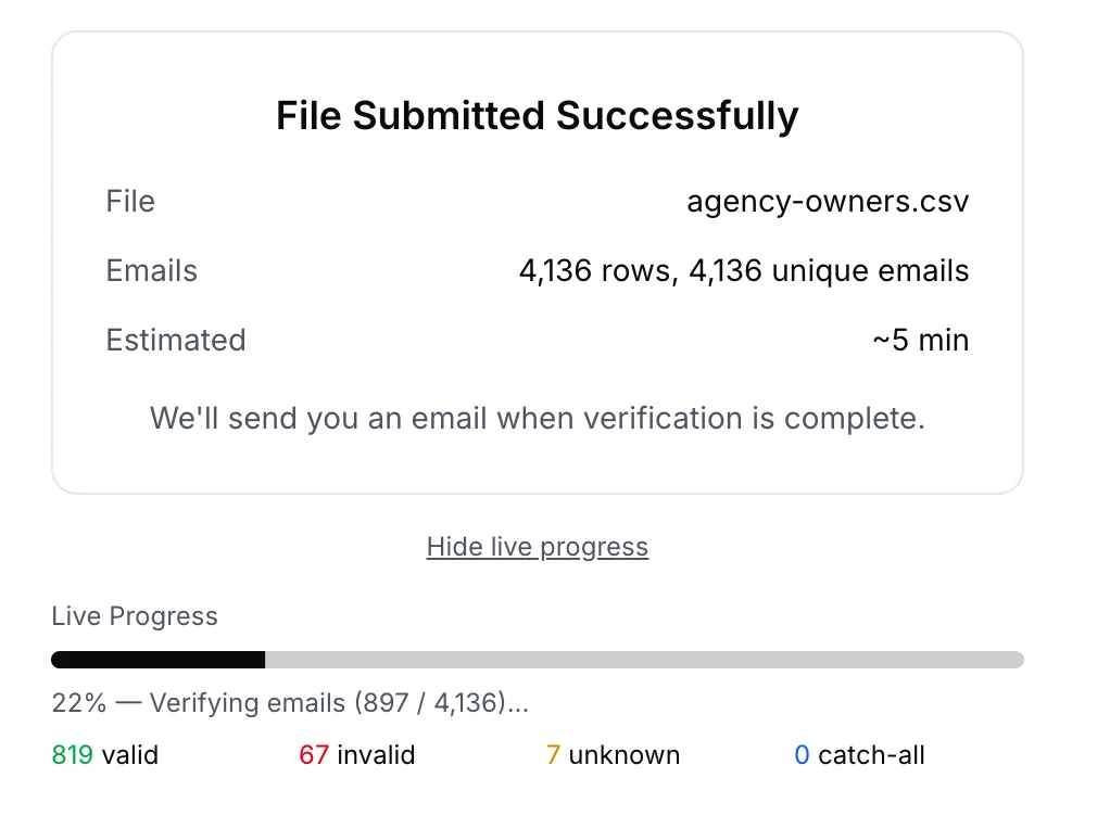 BillionVerify bulk file verification confirmation screen
